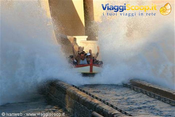 Sea World Orlando