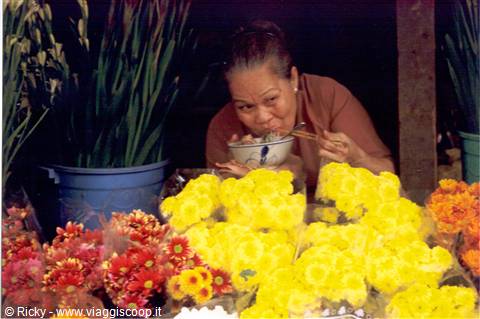 At the flower market