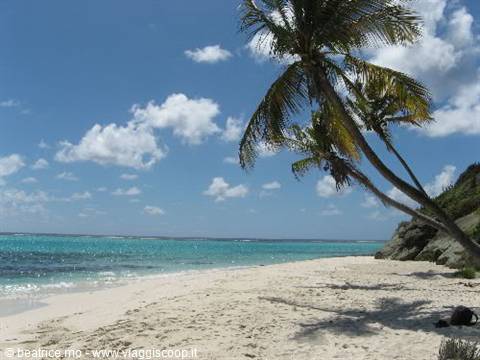 Leaning palms over white sand, turquoise sea and rocks under a cloudy sky