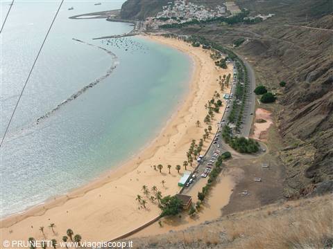 Golden sand beach lined with palms and breakwater, green town above