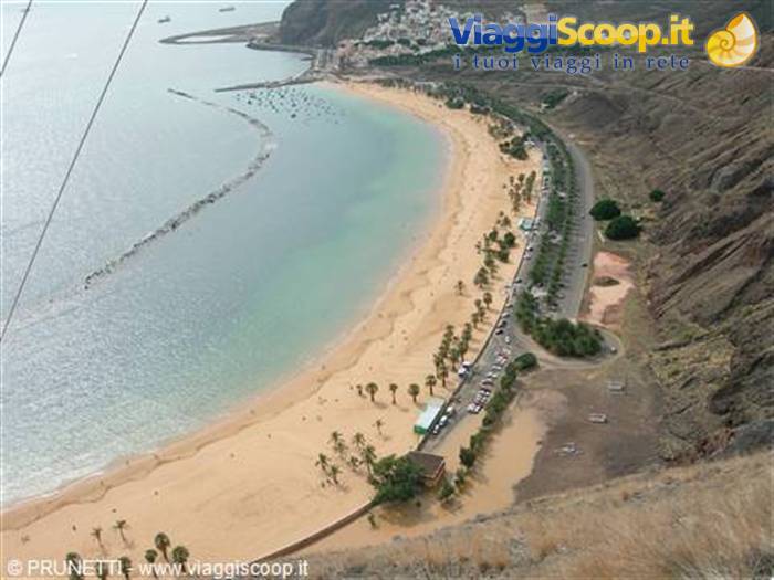 Golden sand beach lined with palms and breakwater, green town above