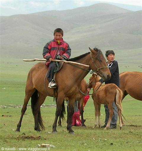 Mongolian horsemen shepherds