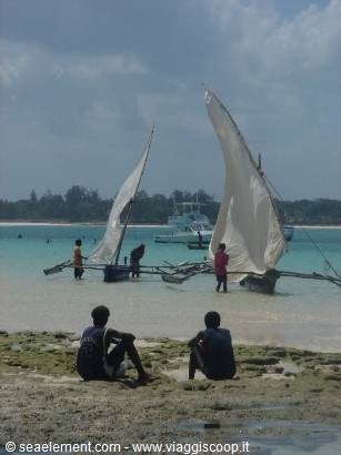 Boys sitting on the beach watching sailboats on turquoise water