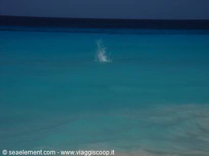 Water splash in the deep blue tropical sea