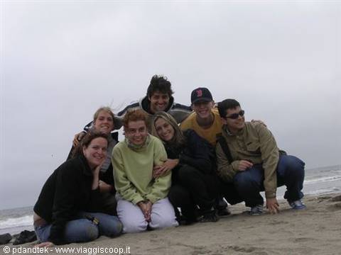 Ocean Beach