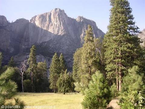 Yosemite Park 