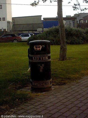 malahide_something_strange_behind_litter