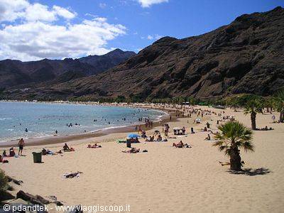 Bathers and palm trees on the golden sand beach of Las Teresitas, Tenerife