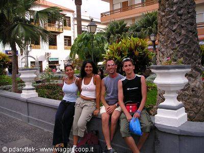 Four friends sitting on a stone ledge among palm trees and gardens