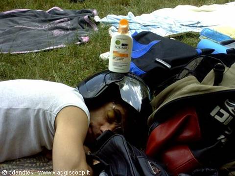 never-sleep-enzo
