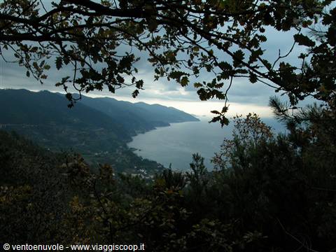 Oak branches frame the Ligurian coast under leaden clouds