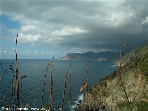 Dry branches before Monterosso's rocky coastline under storm clouds