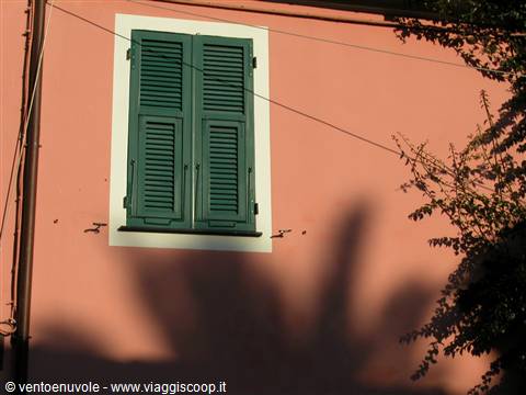 Palm shadow on pink facade with green wooden shutters window