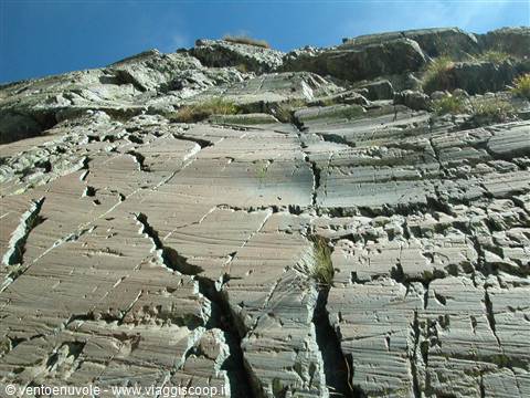 Smoothed rock with glacial striations, grass in cracks, blue sky