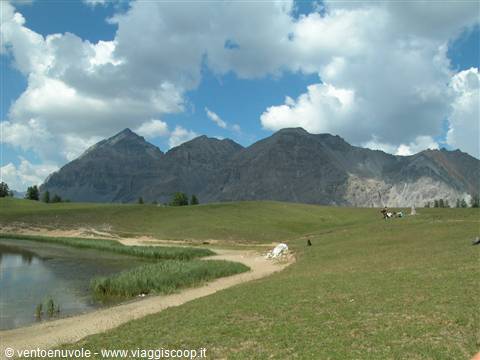Alpine lake with reeds and green meadows beneath rocky peaks