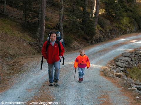 Boy and child with backpack walking on gravel road among firs
