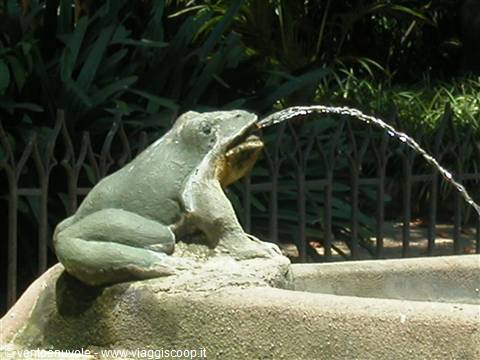 Stone frog statue spouting water in a fountain, iron fence behind