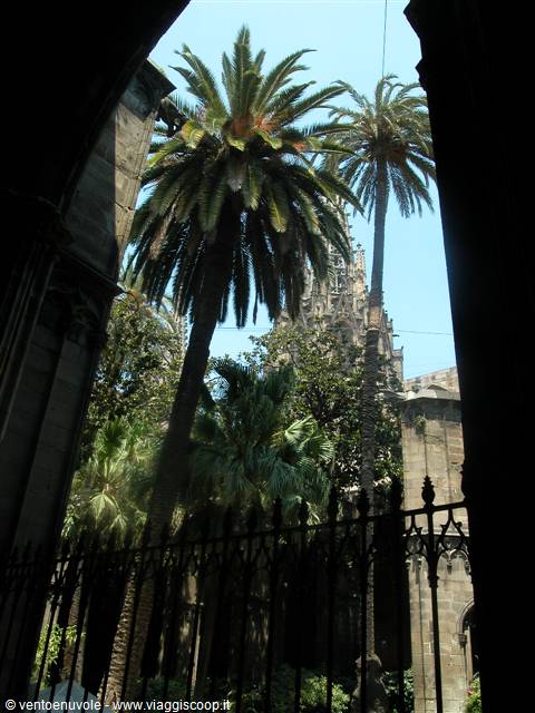 Palm trees and Gothic cathedral spire framed by dark archway, iron fence