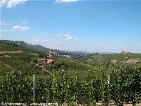 Rows of vines on green hills, brick farmhouses among fields, blue sky