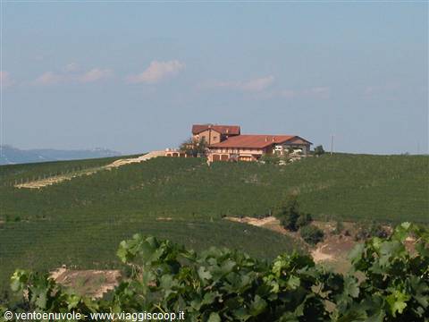 Vineyards on Langhe hills with red farmhouse on the hilltop