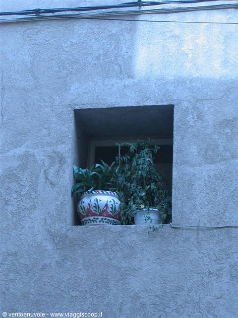 Painted pot with green plants on a closed windowsill