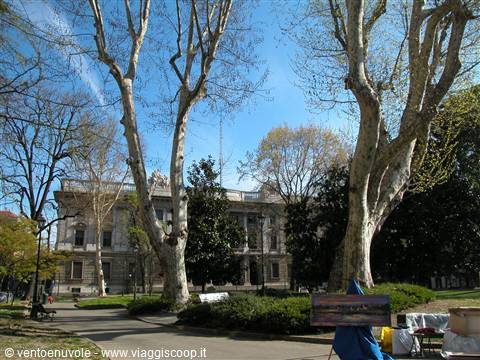 Century-old plane trees before a historic building in a sunny city park