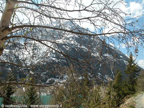 Bare branches before a snow-covered mountain and green lake, blue sky