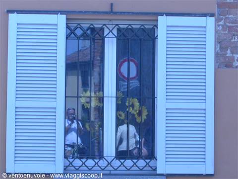 Man photographs through a barred window with white shutters and sunflowers