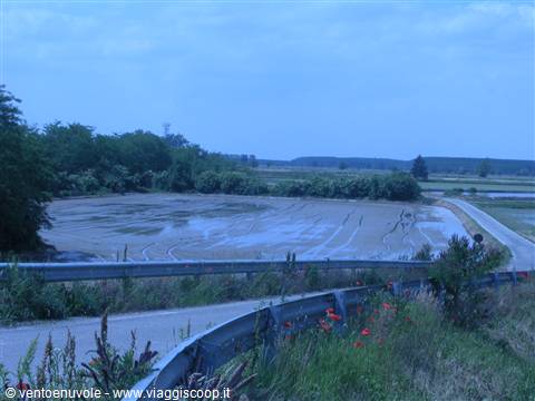 Flooded rice paddy beside the road with guardrail and red poppies