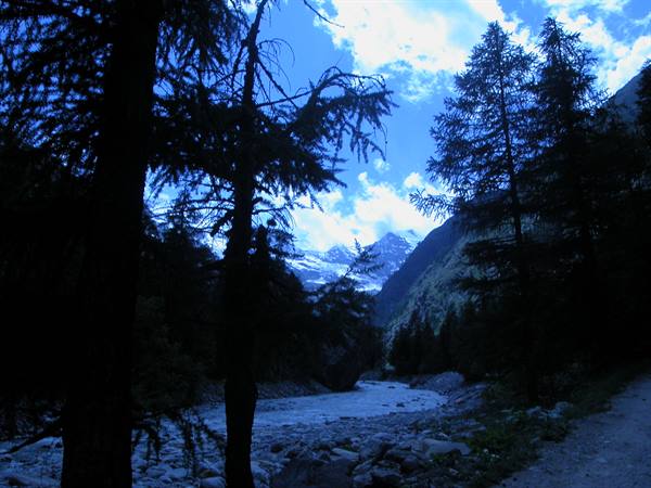 Dark conifers against blue sky, stream and snowcapped mountain in the background