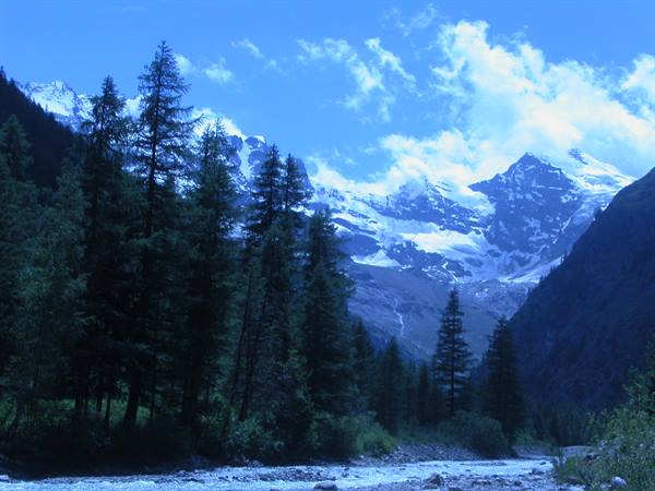 Dark conifers before snowy peaks, stony stream below, cold alpine light