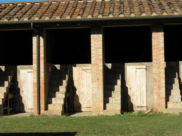 Brick arcade with white wooden doors and stairs, sharp light and shadows