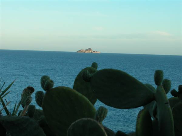Prickly pear cacti in the foreground before blue sea and distant island