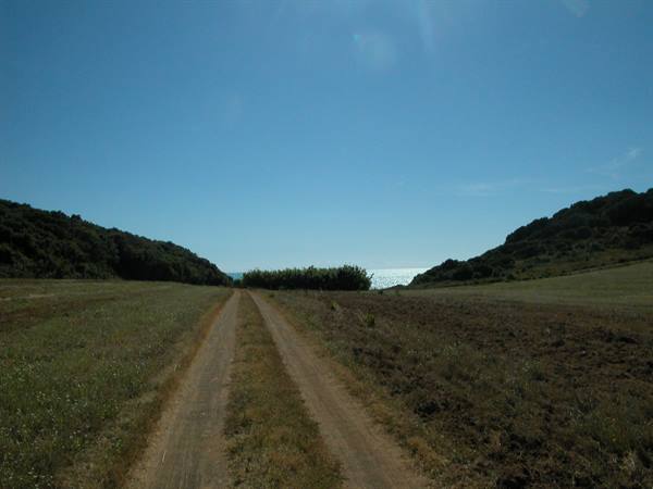Dirt road between green hills leading down to the sparkling sea