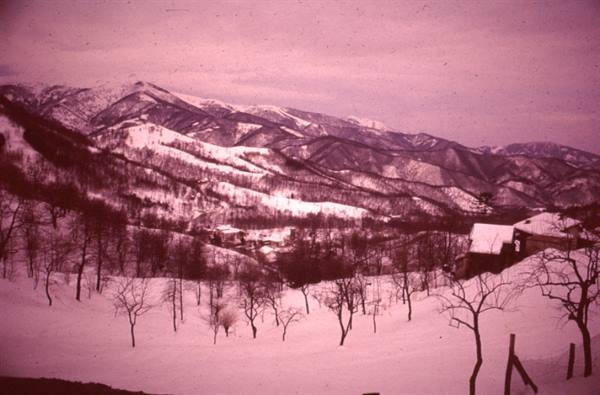 Houses among bare trees and snowy hills under a pink sky