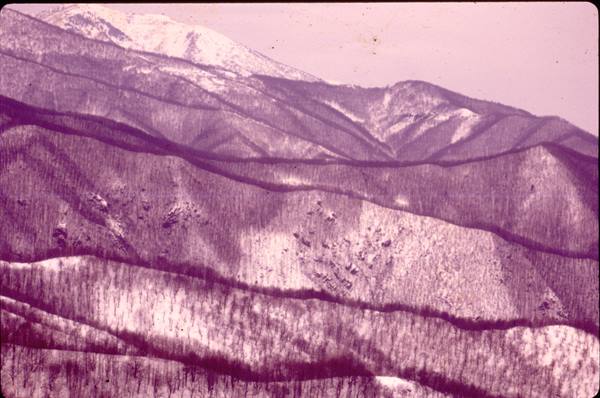 snowy mountains with bare wooded slopes and white peaks under pale sky