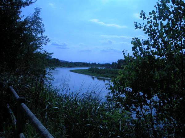 Winding river at dusk among tall grasses, wooden fence and trees