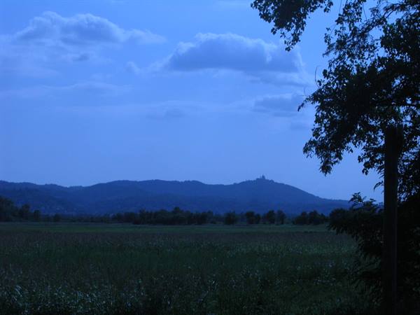 Green fields in evening backlight, dark trees on right, blue hills behind