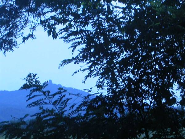 Dark branches backlit frame a distant hill topped by a castle