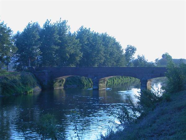 Old brick bridge with arches crosses the river among poplars at dawn