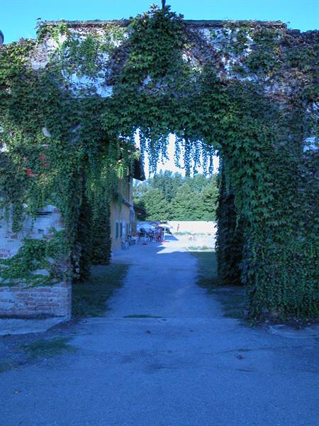 Ivy-covered stone arch over gravel driveway leading to courtyard with umbrellas