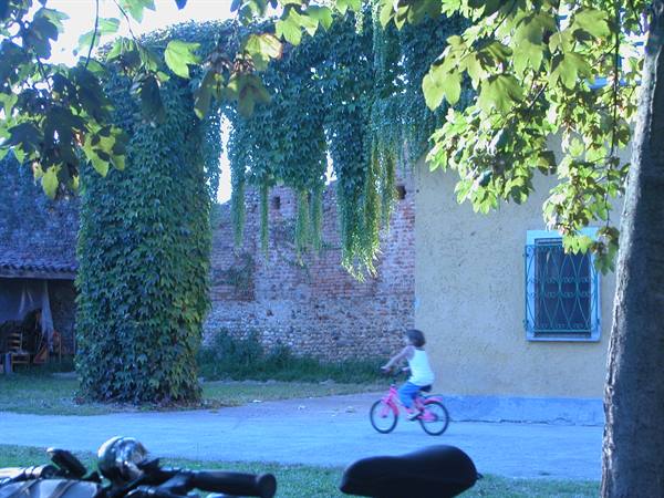 Girl on pink bicycle riding past old ivy-covered brick wall