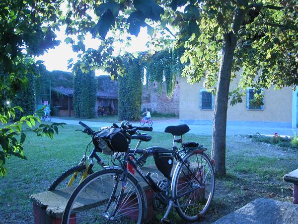 Bicycles leaning on a concrete bench under a tree, lawn and old brick walls