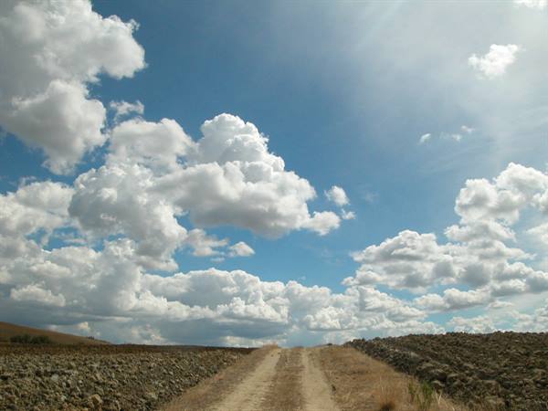 Dirt road between plowed fields under white clouds and blue sky
