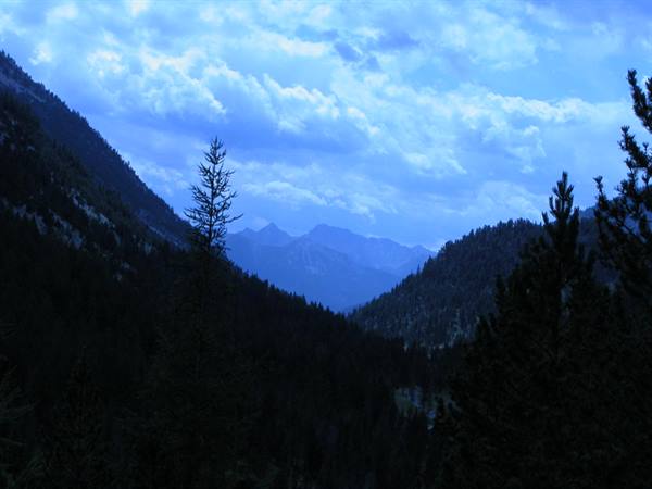 Dark firs frame bluish mountains beneath glowing clouds