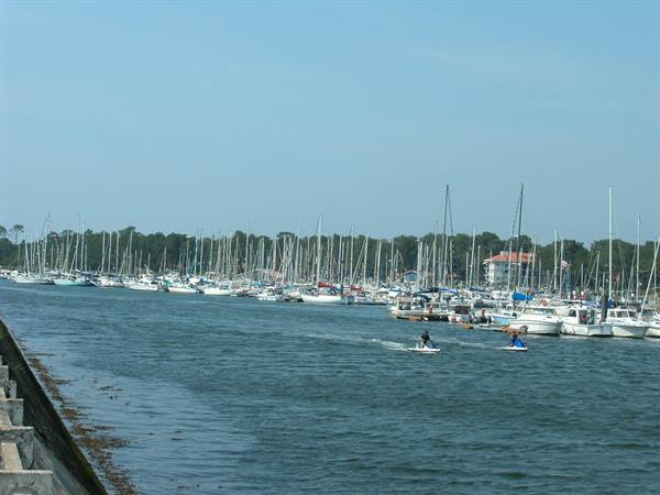 Speedboats racing past a marina full of sailboats