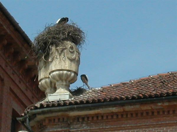 Storks nesting on a stone ornamental urn above a tiled brick roof