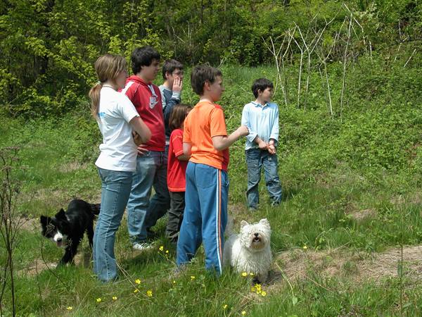 Group of kids standing on grass with two dogs, one black and one white