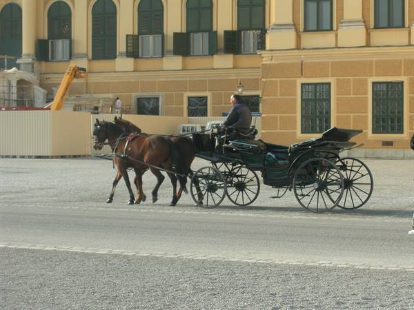 Horse-drawn black carriage in front of Schönbrunn Palace