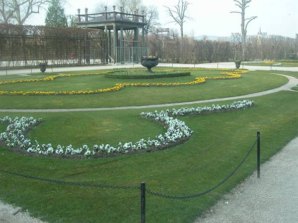 Curved flowerbeds of white and yellow flowers in Schönbrunn gardens